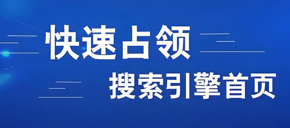东营网站优化